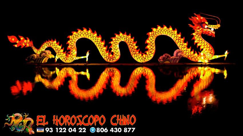 que signo soy del horóscopo chino